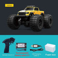 Teranty C8816 4WD Amphibious RC Stunt Monster Truck with LED Lights